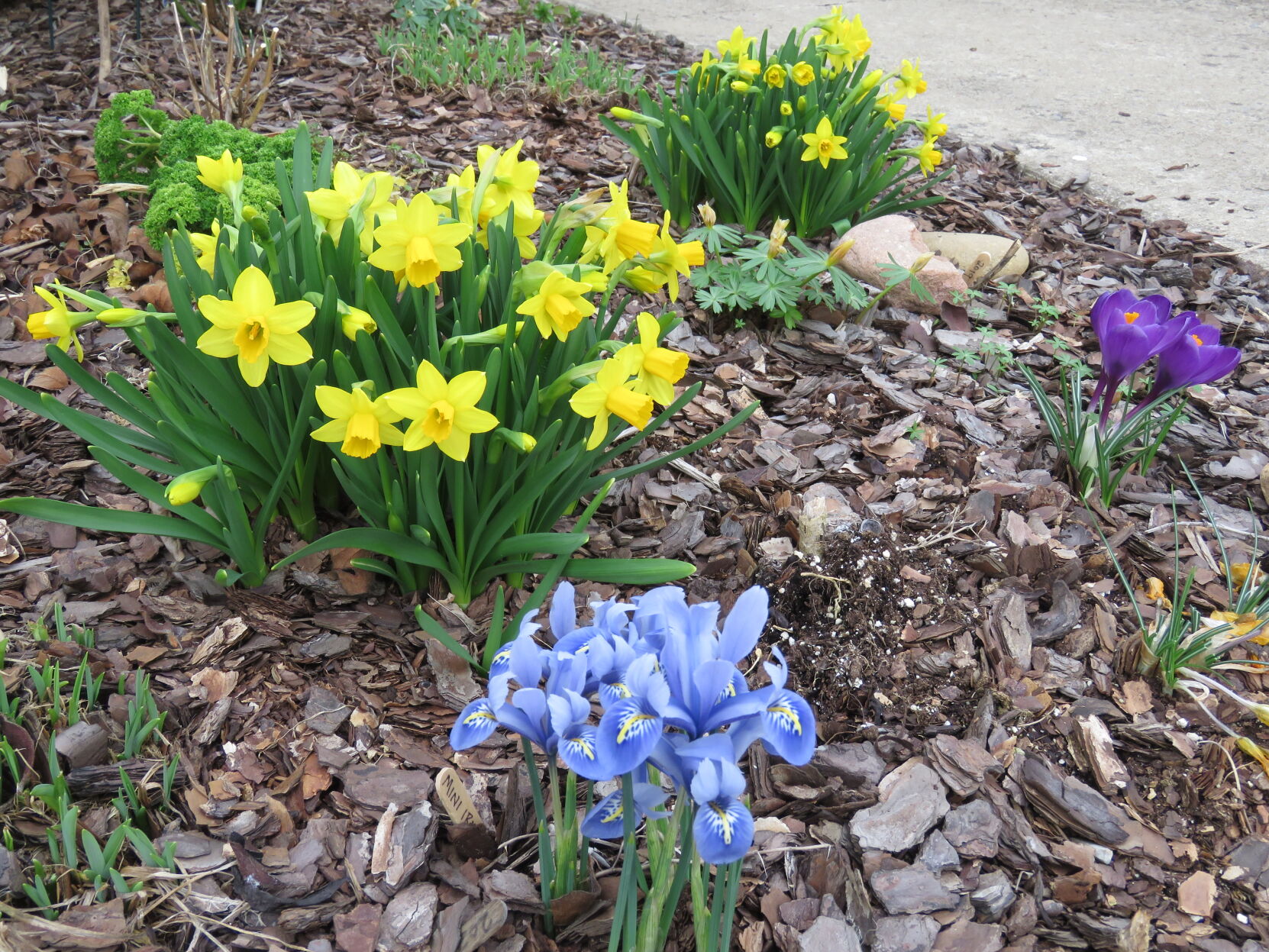 Signs of Spring